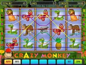 Crazy Monkey Deluxe